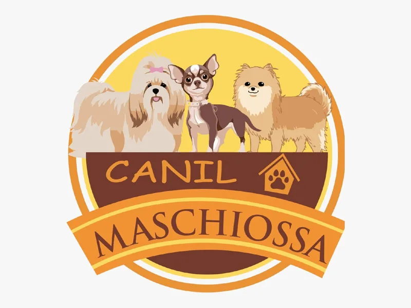 Foto de Canil Maschiossa