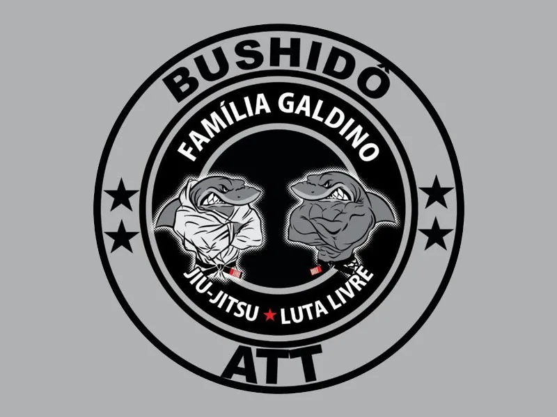 Foto de Escola de Lutas Família Galdino