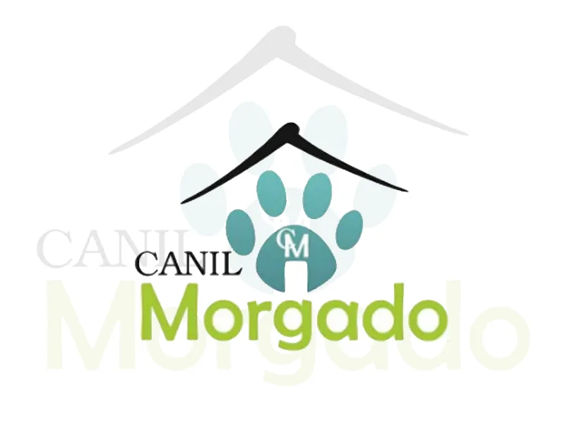 Foto de Canil Morgado