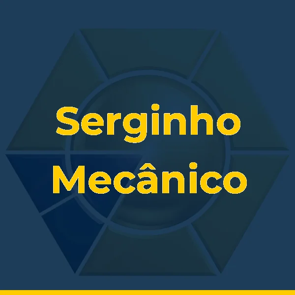 Foto de Serginho Mecânico