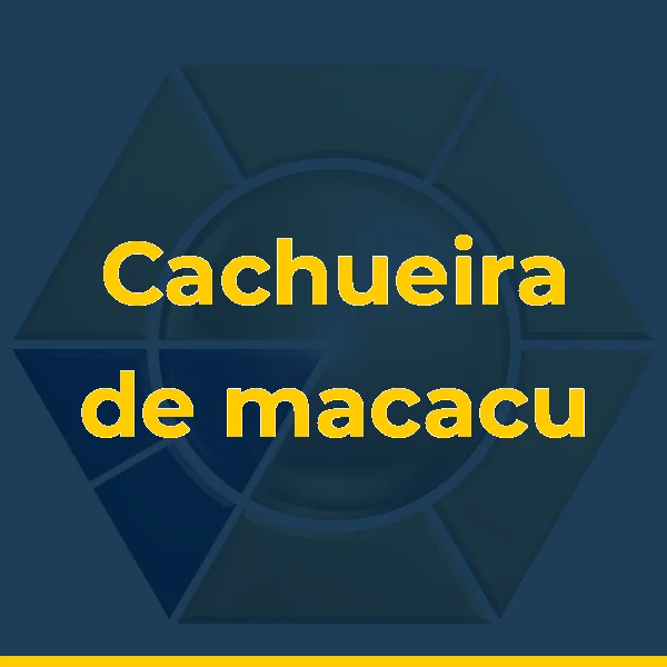 Foto de Cachueira de macacu