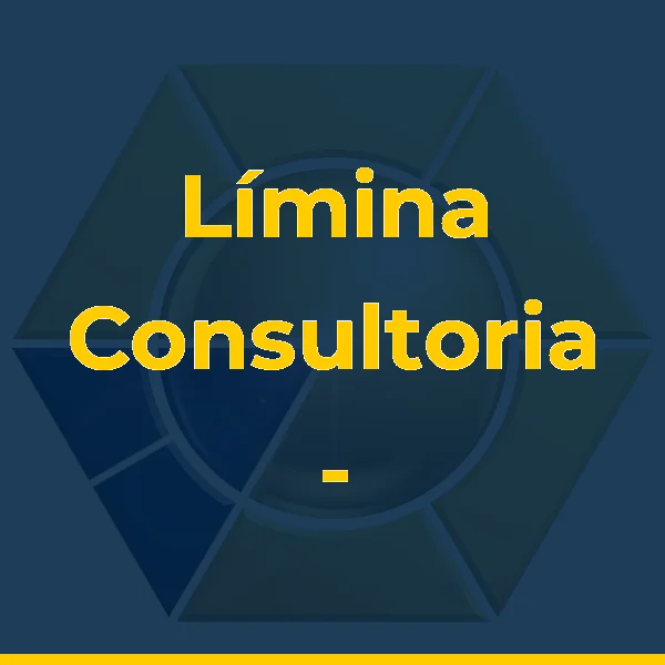 Foto de Límina Consultoria - Pesquisa de Mercado e Consultoria Empresarial