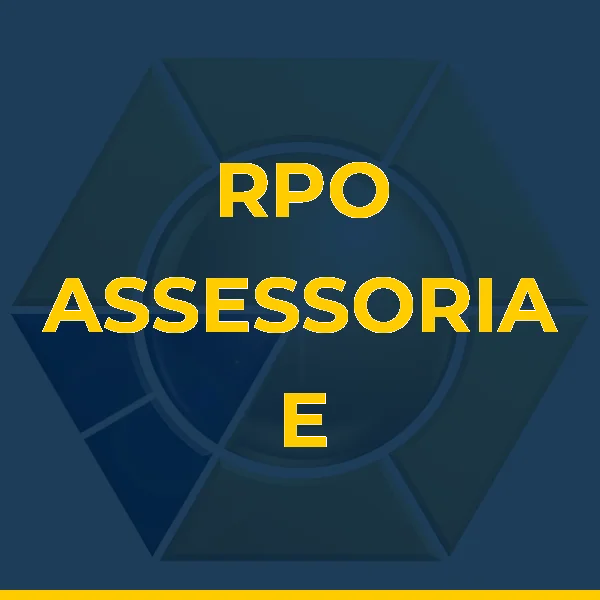 Foto de RPO ASSESSORIA E CONSULTORIA EM COMERCIO EXTERIOR LTDA