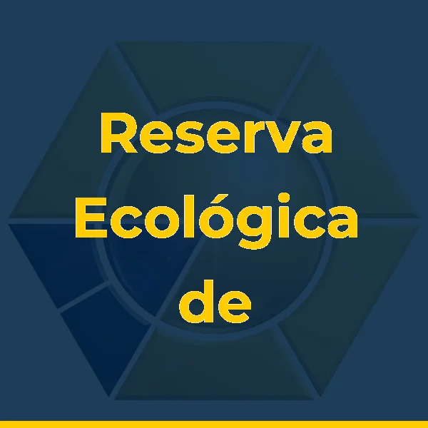 Foto de Reserva Ecológica de Guapiaçu