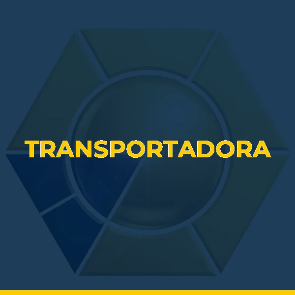 Foto de TRANSPORTADORA TRANSMUDANÇAS LTDA