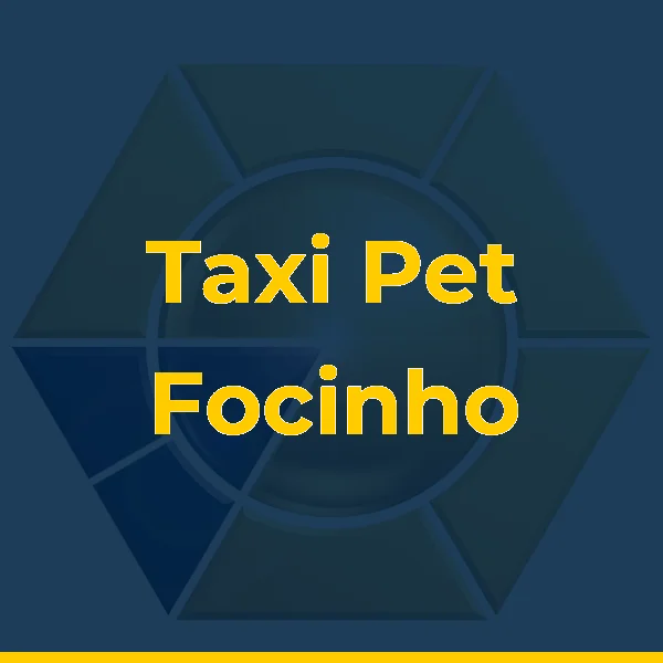 Foto de Taxi Pet Focinho Preto Petrópolis