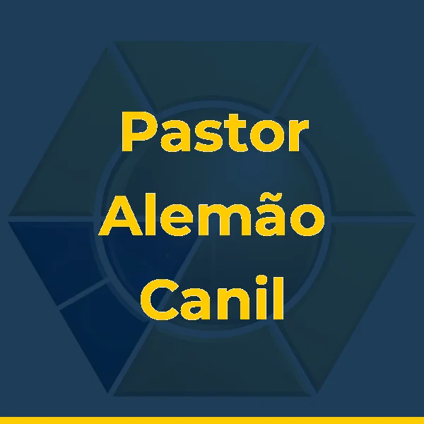 Foto de Pastor Alemão Canil Imperador criação e Venda
