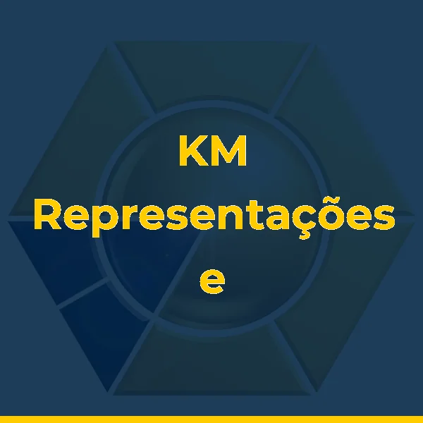 Foto de KM Representações e Soluções em Inovações Tecnológicas