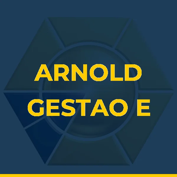 Foto de ARNOLD GESTAO E REPRESENTACOES LTDA