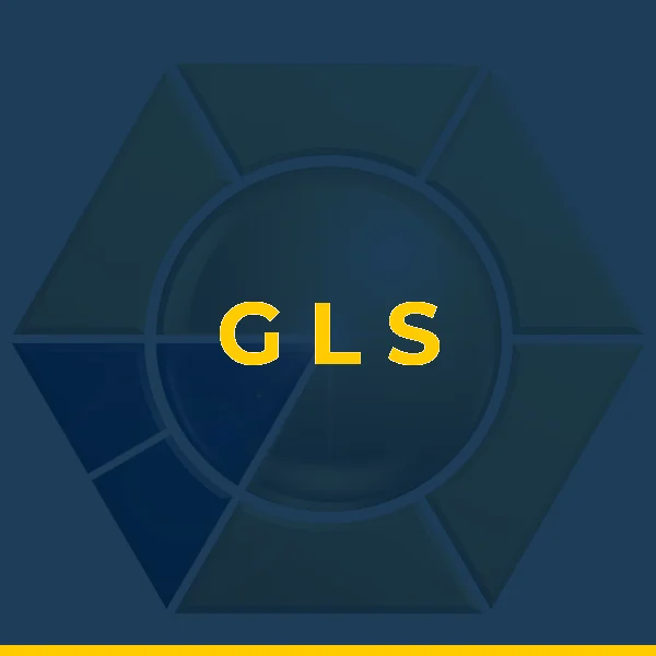 Foto de G L S SERVICOS MEDICOS LTDA