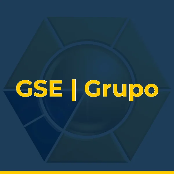 Foto de GSE | Grupo de Soluções Empresariais