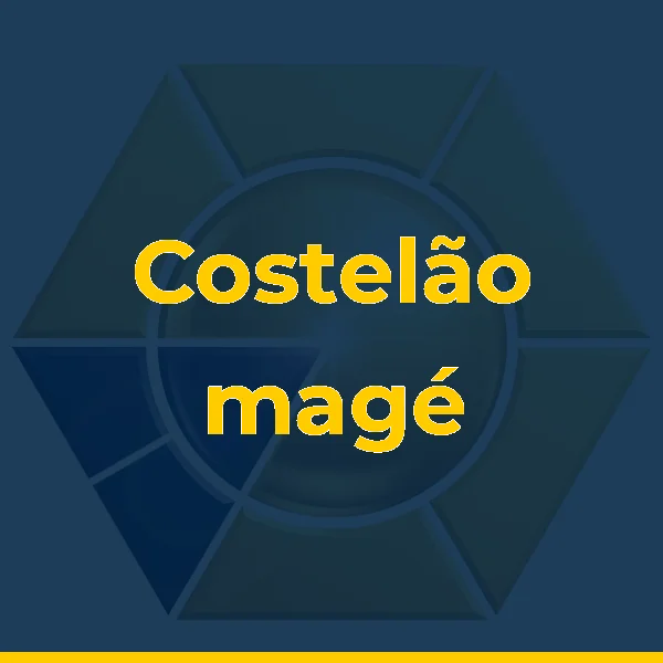 Foto de Costelão magé