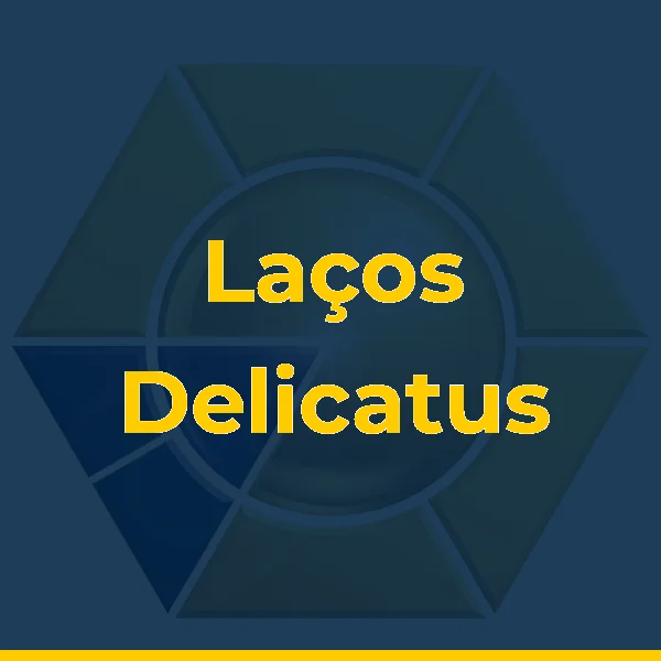 Foto de Laços Delicatus