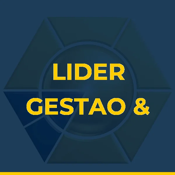 Foto de LIDER GESTAO & NEGOCIOS