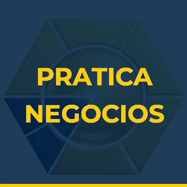 Foto de PRATICA NEGOCIOS