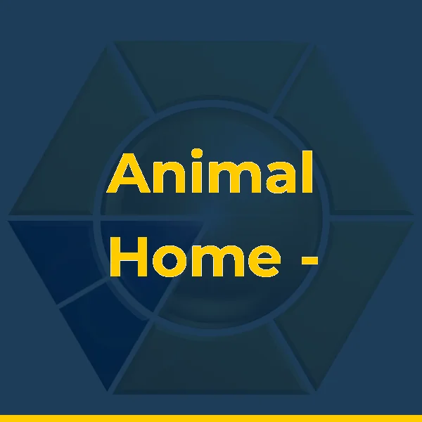 Foto de Animal Home - Hotel e Creche para animais
