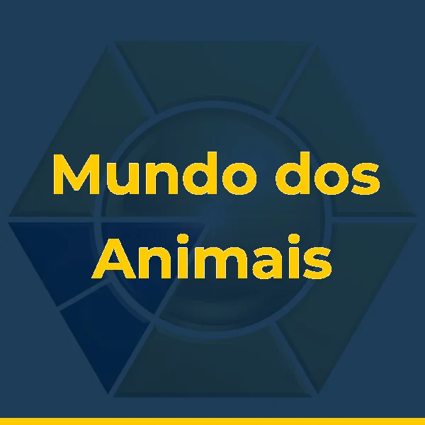 Foto de Mundo dos Animais Pet Shop Ltda