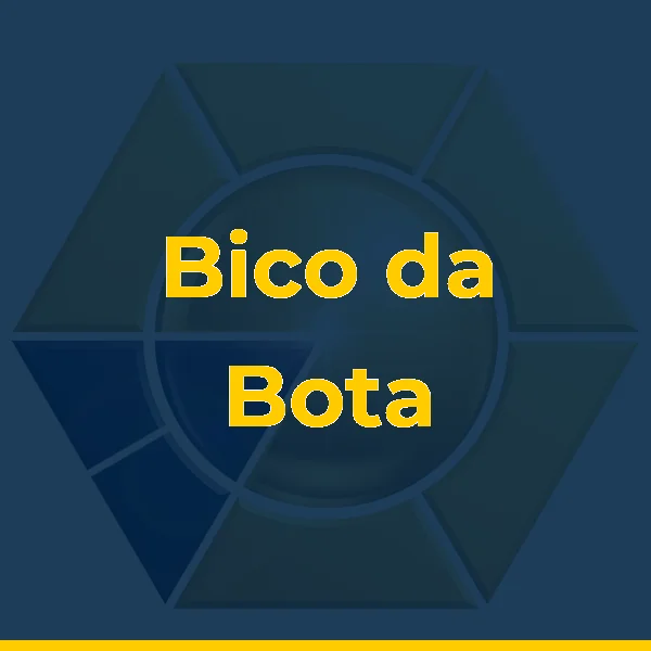 Foto de Bico da Bota - Outlet Multimarcas