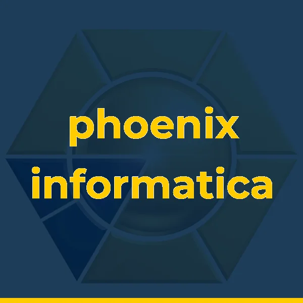 Foto de phoenix informatica
