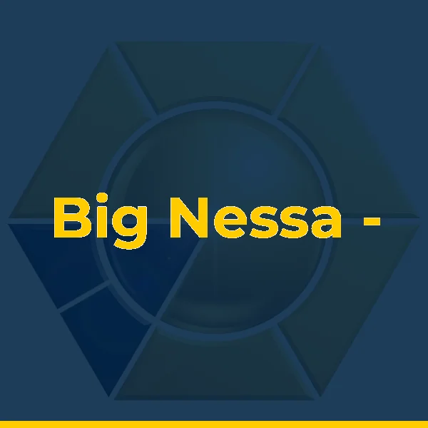 Foto de Big Nessa - Venda das Pedras