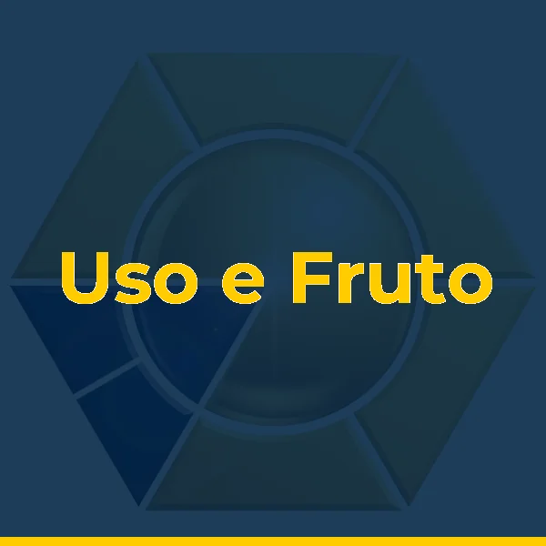 Foto de Uso e Fruto - Brechó