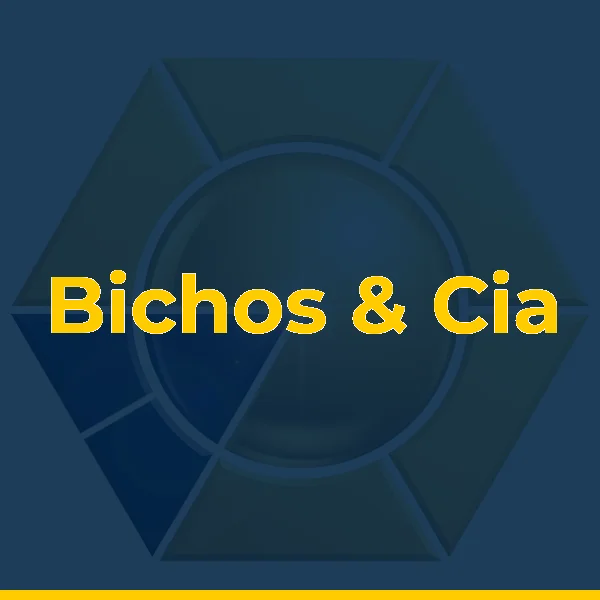 Foto de Bichos & Cia