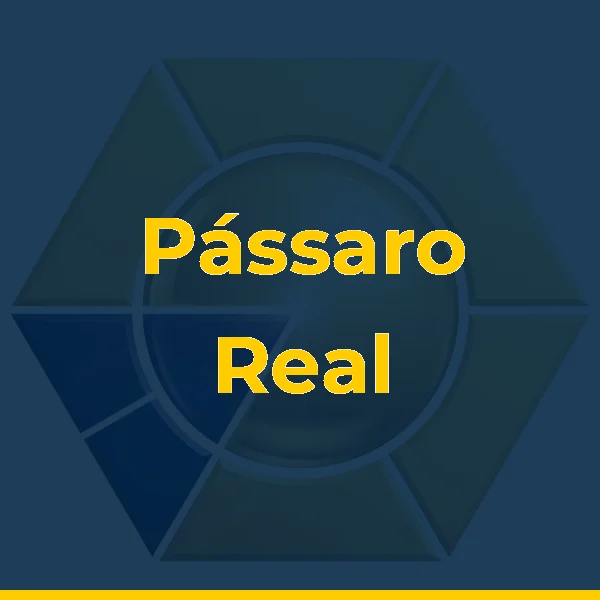 Foto de Pássaro Real