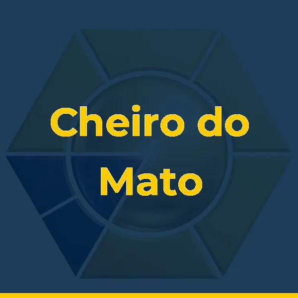 Foto de Cheiro do Mato Pousada Hotel Fazenda