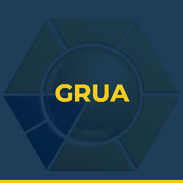Foto de GRUA