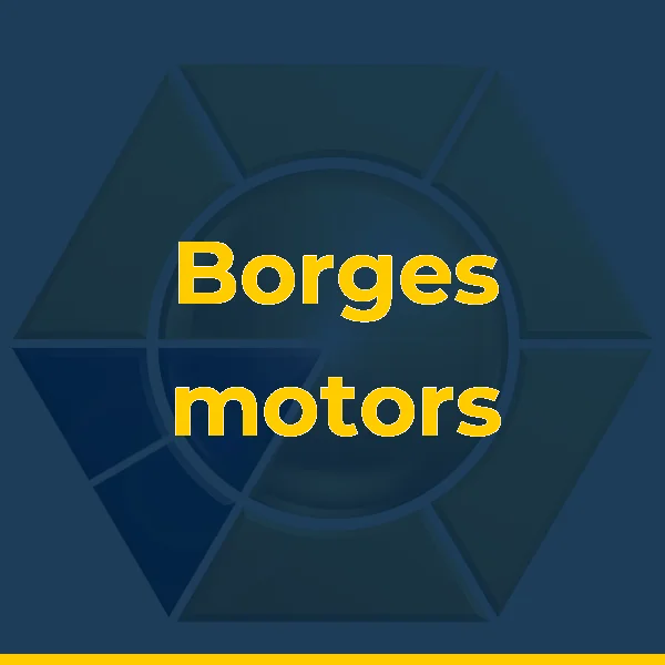 Foto de Borges motors