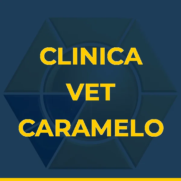 Foto de CLINICA VET CARAMELO E CIA