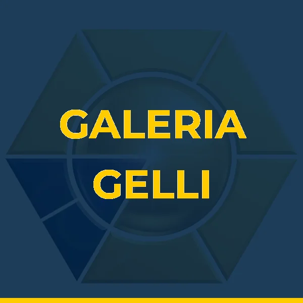Foto de GALERIA GELLI