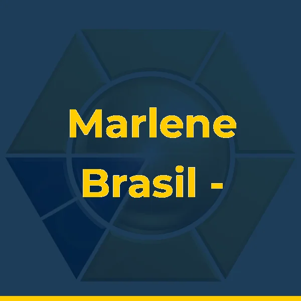 Foto de Marlene Brasil - Artesã