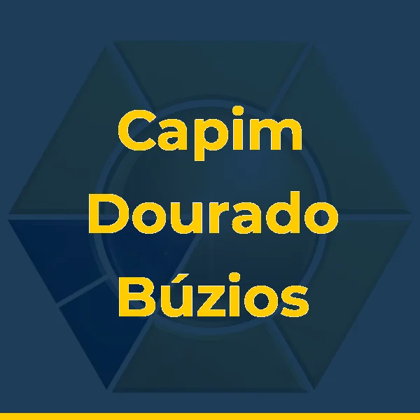 Foto de Capim Dourado Búzios - Tramas e Cordas