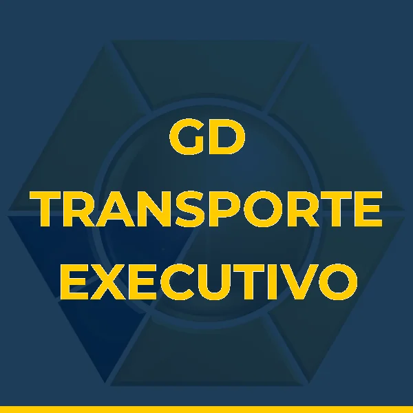 Foto de GD TRANSPORTE EXECUTIVO RJ