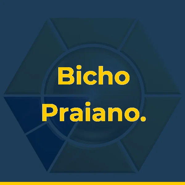 Foto de Bicho Praiano.