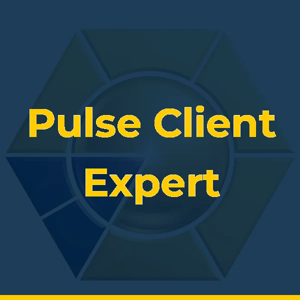 Foto de Pulse Client Expert (antiga SX Negócios)