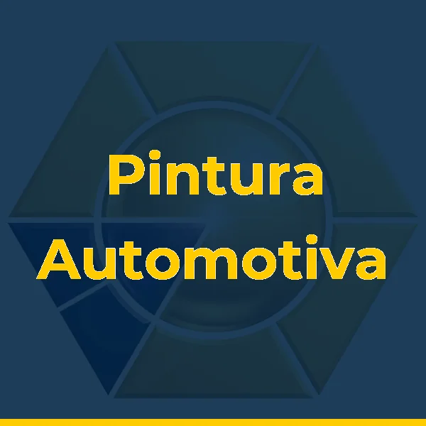 Foto de Pintura Automotiva
