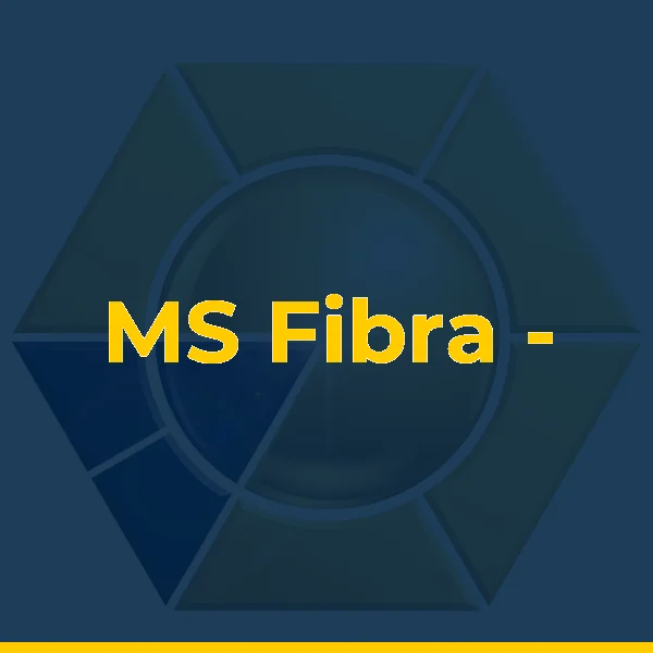 Foto de MS Fibra - Angra dos Reis - Provedor de Internet
