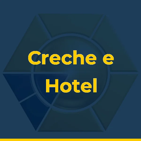 Foto de Creche e Hotel para cachorro RJ Ilha Grande