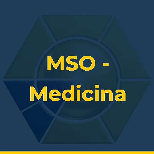 Foto de MSO - Medicina e Saúde Ocupacional