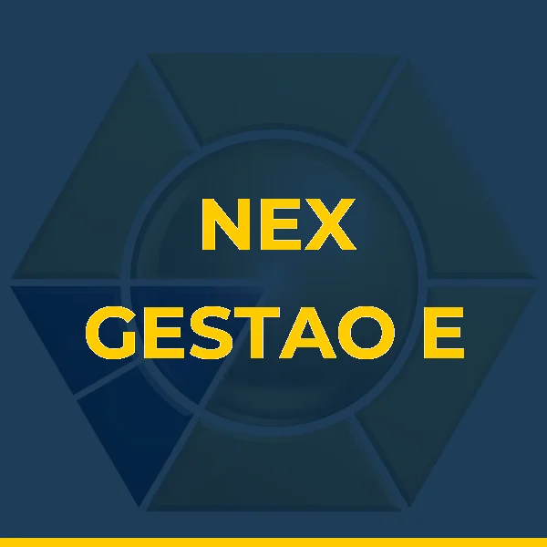 Foto de NEX GESTAO E TREINAMENTOS