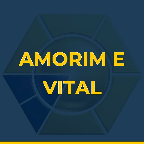 Foto de AMORIM E VITAL LTDA