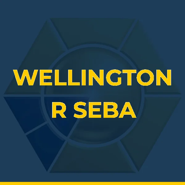 Foto de WELLINGTON R SEBA FILHO  LTDA