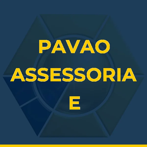Foto de PAVAO ASSESSORIA E CONSULTORIA