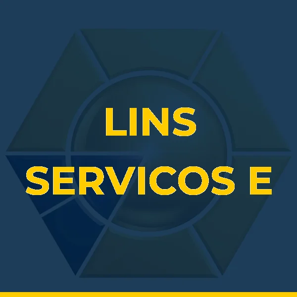 Foto de LINS SERVICOS E CONSULTORIA