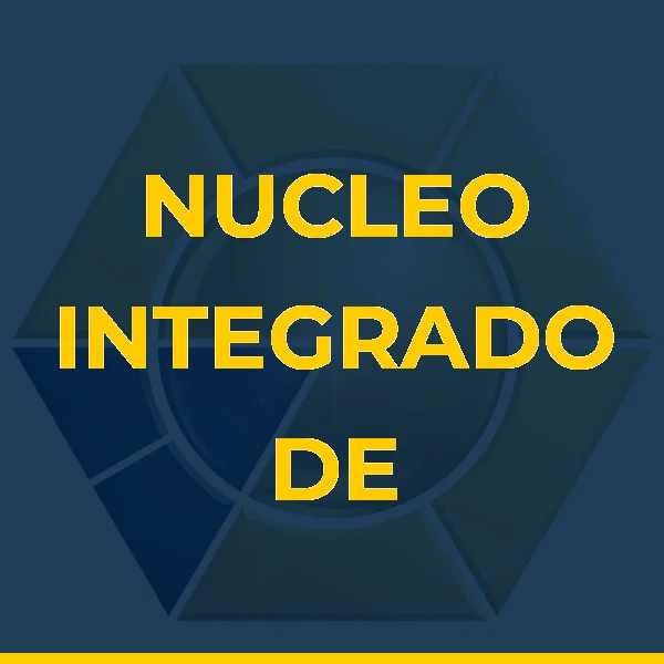 Foto de NUCLEO INTEGRADO DE GESTAO - NIG