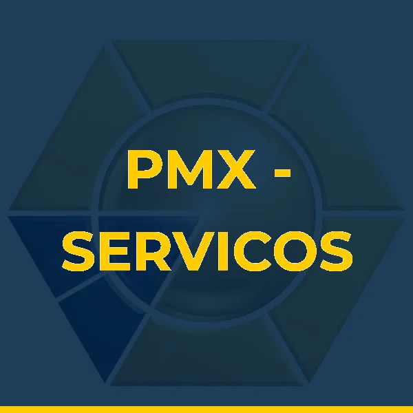 Foto de PMX - SERVICOS ADMINISTRATIVOS LTDA