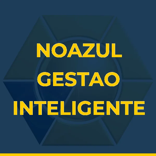Foto de NOAZUL GESTAO INTELIGENTE