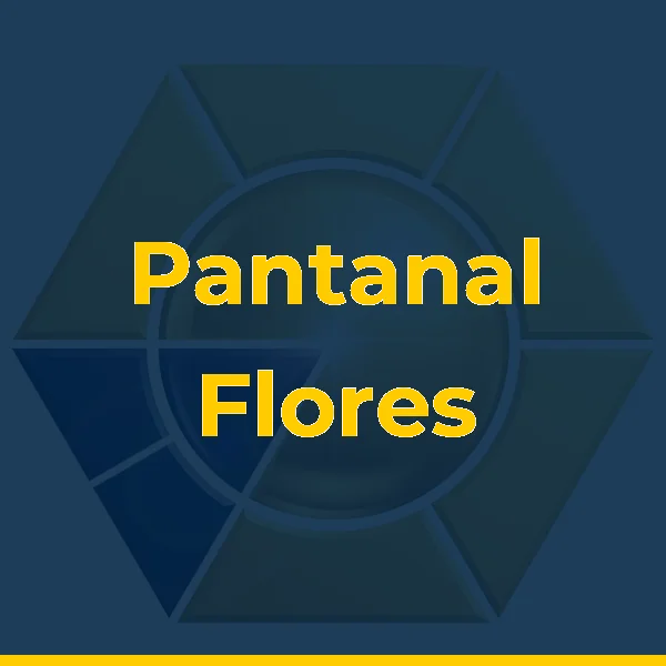 Foto de Pantanal Flores Floricultura